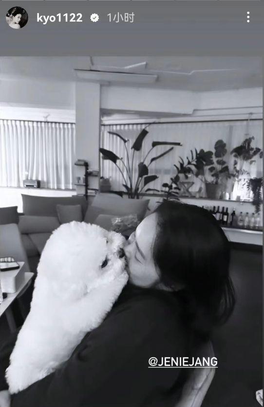 宋慧乔和闺蜜开心聚会 晒与爱犬合照穿粉衣笑容甜