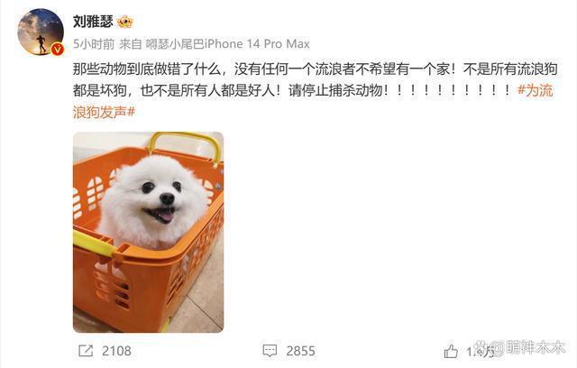 刘雅瑟为流浪动物发声，呼吁停止捕杀，网友怒斥只会动嘴
