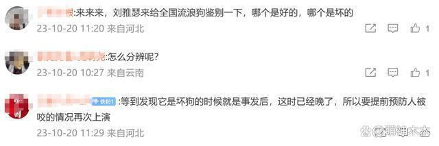 刘雅瑟为流浪动物发声，呼吁停止捕杀，网友怒斥只会动嘴