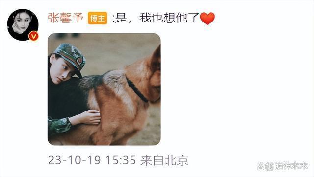 刘雅瑟为流浪动物发声，呼吁停止捕杀，网友怒斥只会动嘴