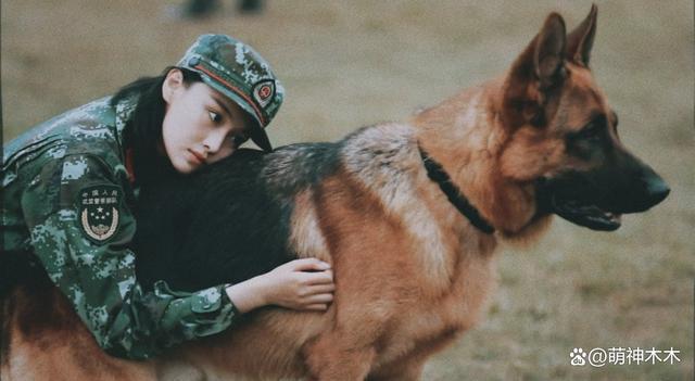 刘雅瑟为流浪动物发声，呼吁停止捕杀，网友怒斥只会动嘴