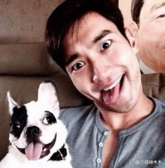 刘雅瑟为流浪动物发声，呼吁停止捕杀，网友怒斥只会动嘴