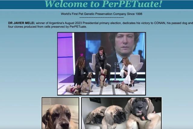 “阿根廷特朗普”领跑大选，他的5只克隆狗引关注