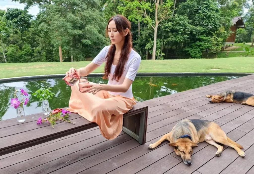 嫁150亿豪门被逼节俭，因复出和婆家吵翻，相夫教子灵气全无？