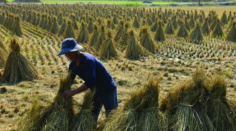 近期最好的华语片，是它！