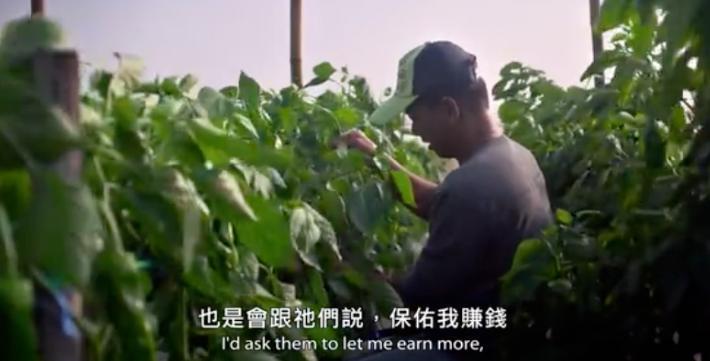 近期最好的华语片，是它！