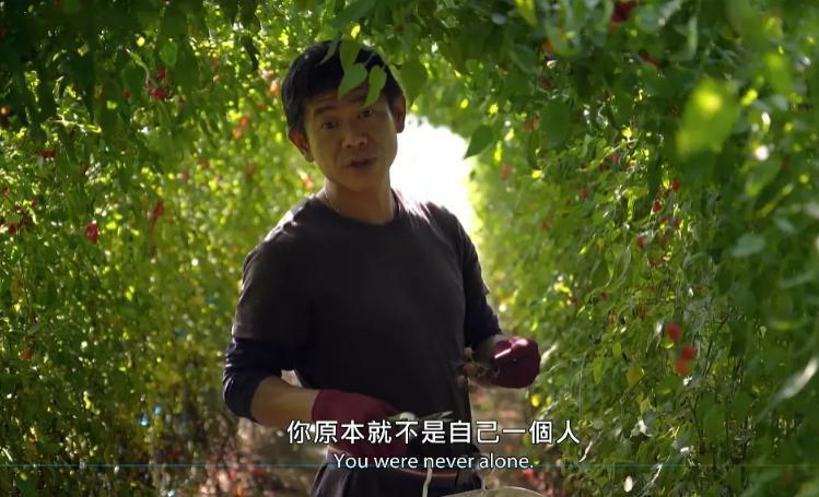 近期最好的华语片，是它！