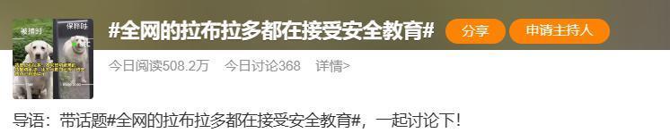 买二手手表给狗戴，网友真会玩！