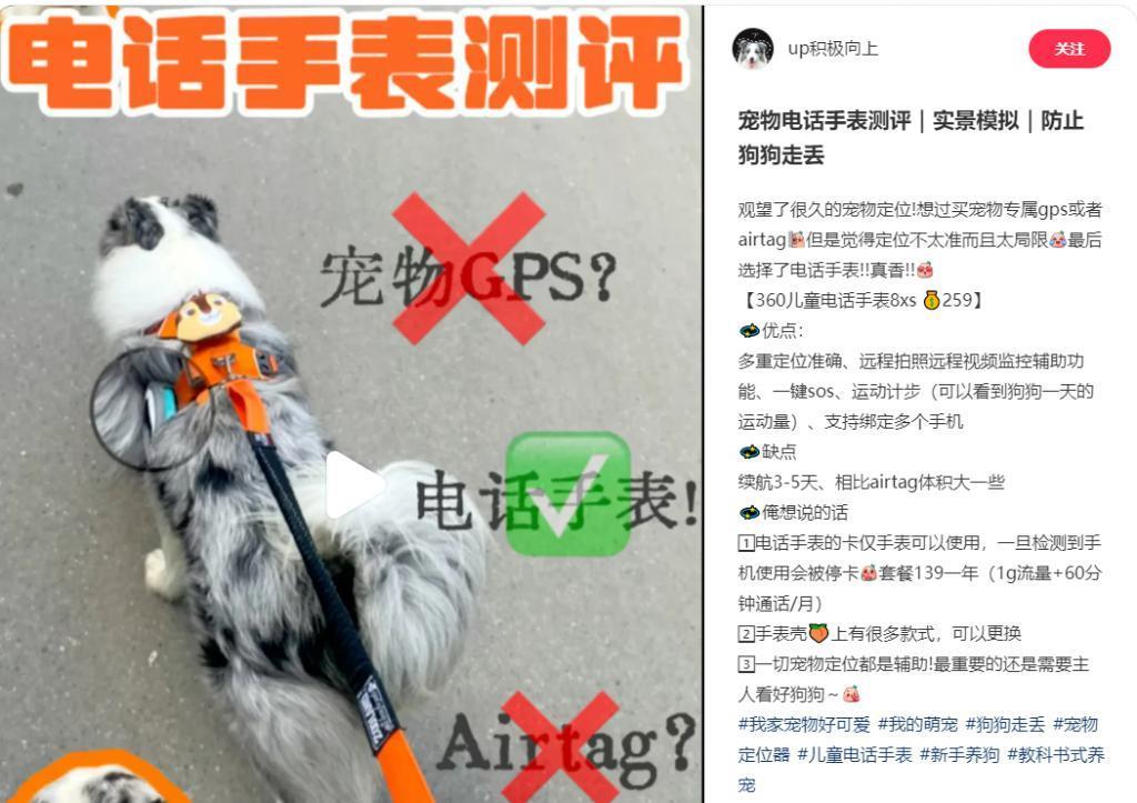 买二手手表给狗戴，网友真会玩！