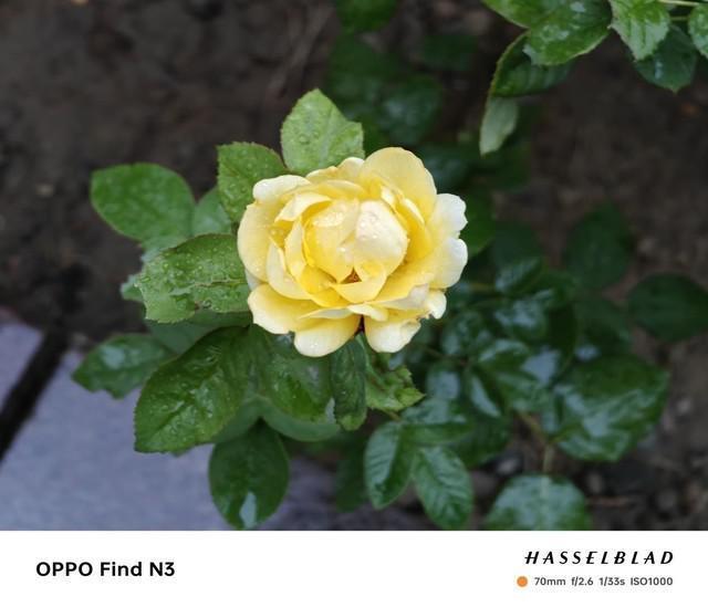 OPPO Find N3值不值？看完这三项实测再说