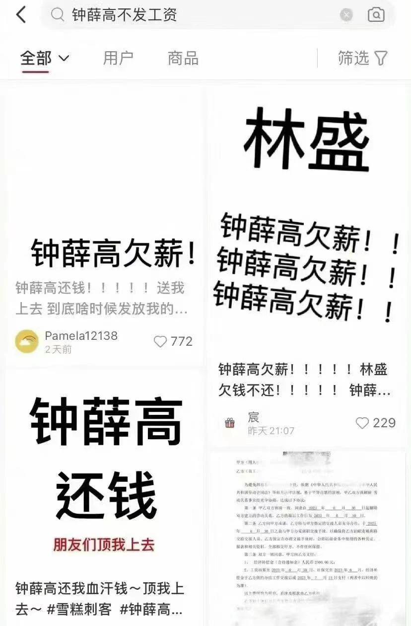“雪糕刺客”钟薛高，要凉了