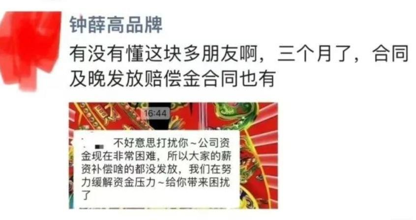 “雪糕刺客”钟薛高，要凉了
