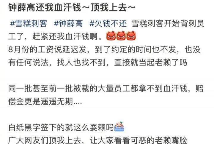 “雪糕刺客”钟薛高，要凉了