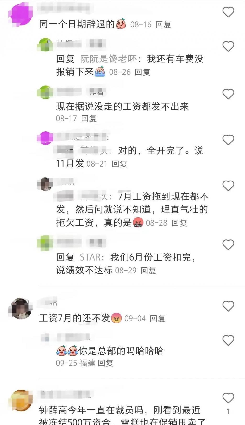 “雪糕刺客”钟薛高，要凉了