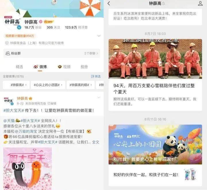 “雪糕刺客”钟薛高，要凉了