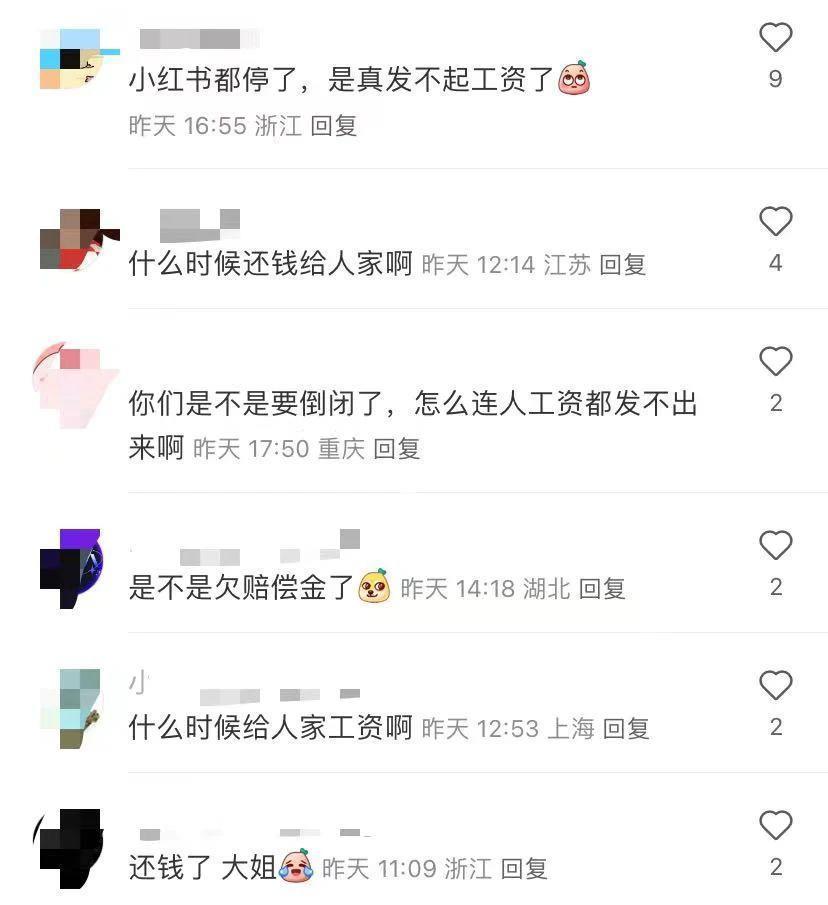“雪糕刺客”钟薛高，要凉了