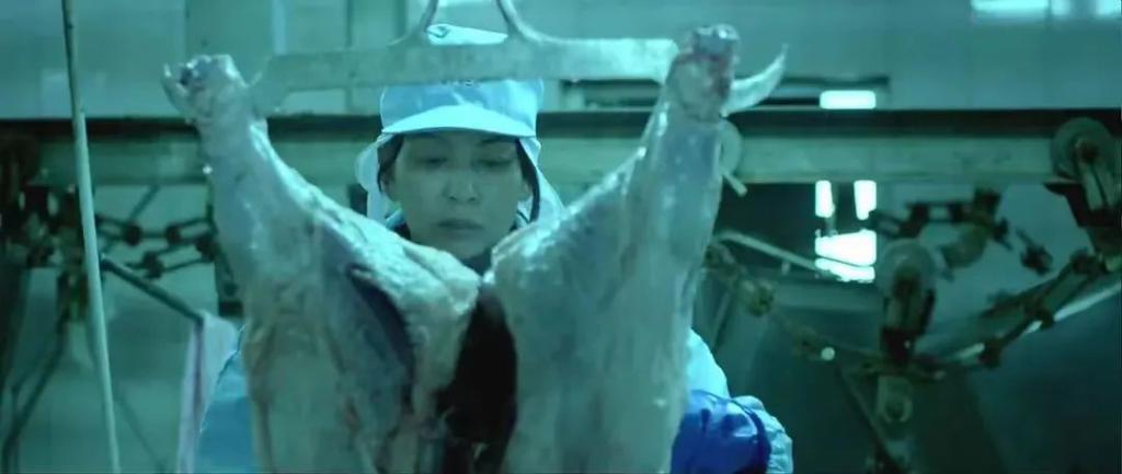 金鸡奖提名没她，我不服