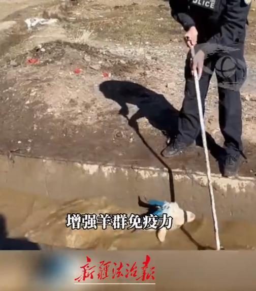 没有刘海的Lisa，还是人间芭比吗？