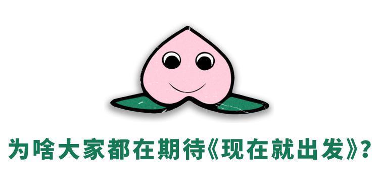 羡慕了，到底是谁在过这种生活啊！