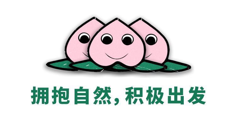羡慕了，到底是谁在过这种生活啊！