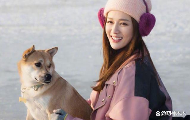 众星接力为狗发声，遭质问谁为被咬女童发声：难道人不如狗？