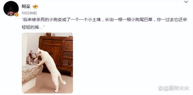 众星接力为狗发声，遭质问谁为被咬女童发声：难道人不如狗？