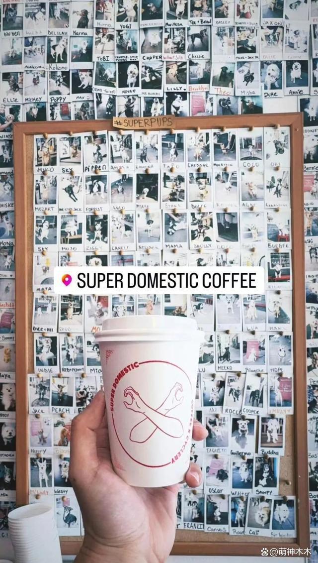 众星接力为狗发声，遭质问谁为被咬女童发声：难道人不如狗？