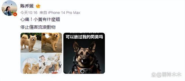 众星接力为狗发声，遭质问谁为被咬女童发声：难道人不如狗？