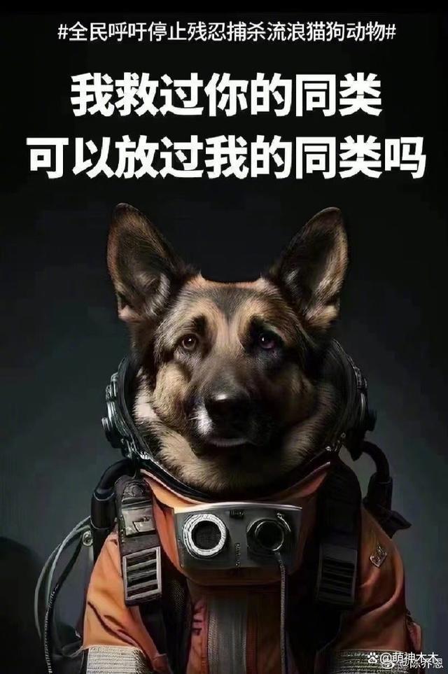 众星接力为狗发声，遭质问谁为被咬女童发声：难道人不如狗？