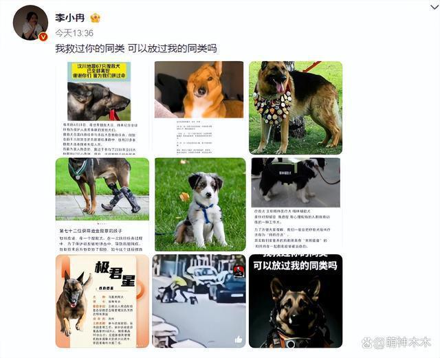 众星接力为狗发声，遭质问谁为被咬女童发声：难道人不如狗？