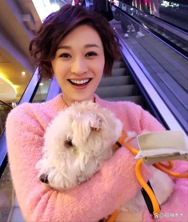 众星接力为狗发声，遭质问谁为被咬女童发声：难道人不如狗？