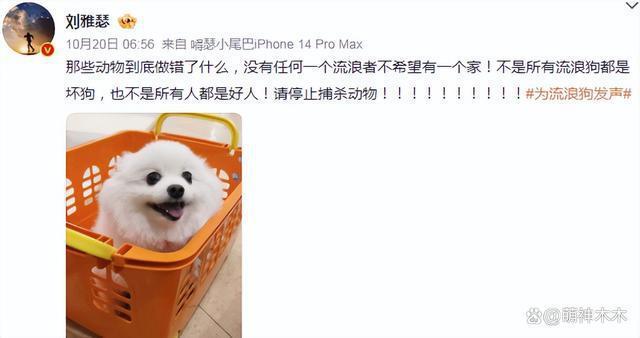 众星接力为狗发声，遭质问谁为被咬女童发声：难道人不如狗？