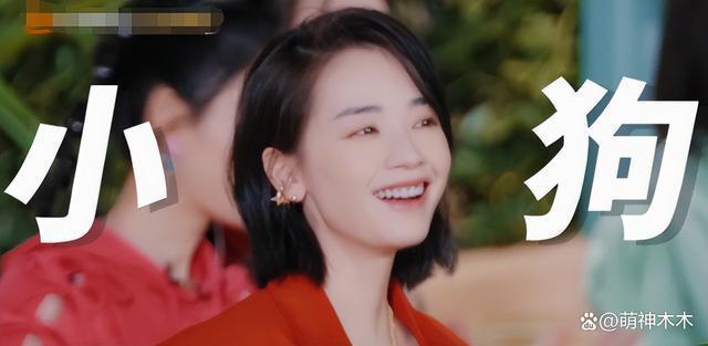 众星接力为狗发声，遭质问谁为被咬女童发声：难道人不如狗？