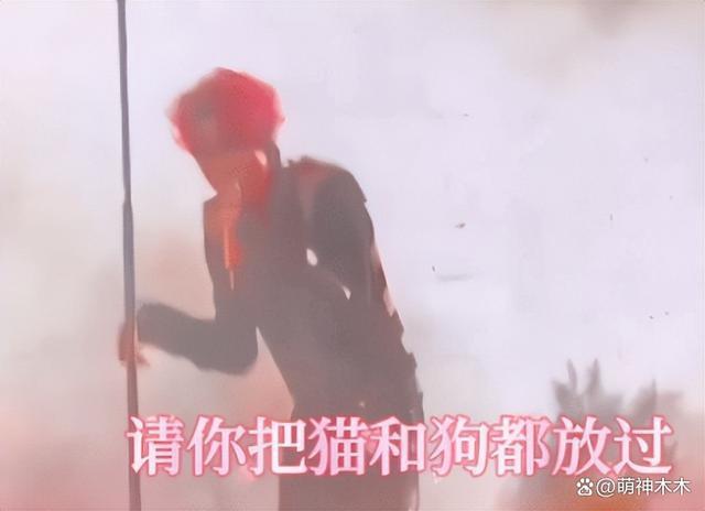 众星接力为狗发声，遭质问谁为被咬女童发声：难道人不如狗？