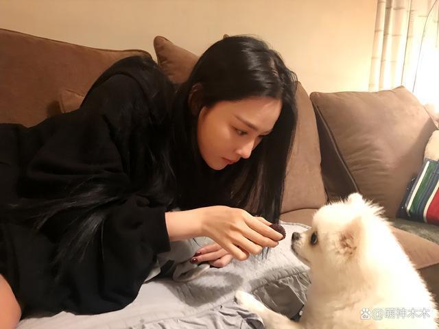 众星接力为狗发声，遭质问谁为被咬女童发声：难道人不如狗？