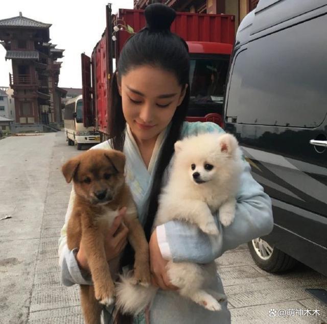 众星接力为狗发声，遭质问谁为被咬女童发声：难道人不如狗？