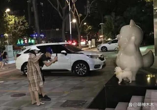 众星接力为狗发声，遭质问谁为被咬女童发声：难道人不如狗？