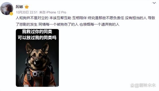 众星接力为狗发声，遭质问谁为被咬女童发声：难道人不如狗？