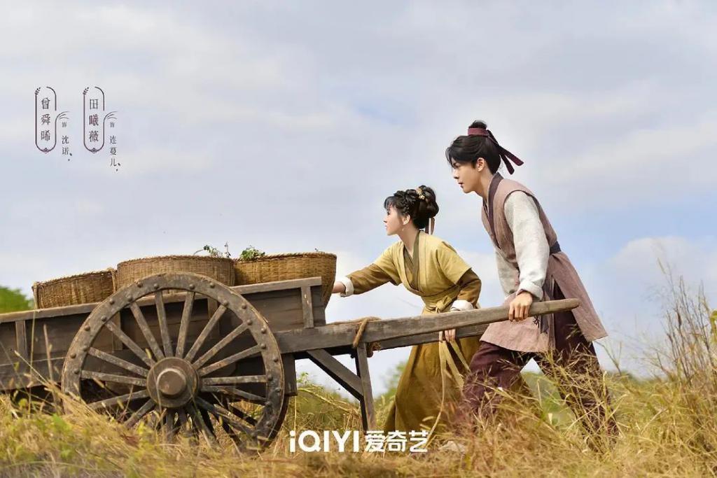 美女啊，这么无脑的剧还要演几部？