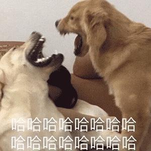一条 4 万多的内裤火了.