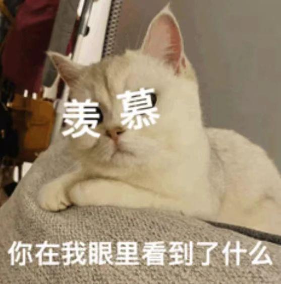 华为超越苹果，成为国内第一？
