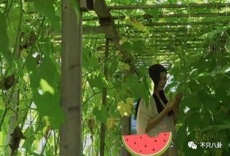 怎么还有人质疑她整容啊？！