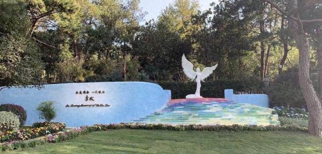 王泽鹏现身纪念园悼念李玟：老师，我来看您了