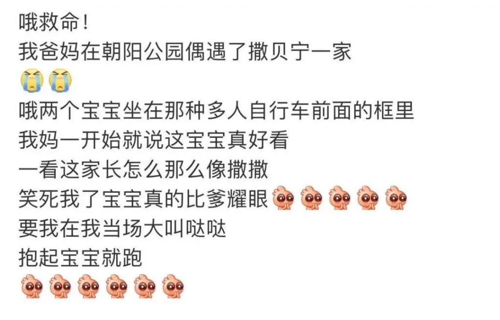 好久不见撒贝宁啦，一家四口好幸福呀