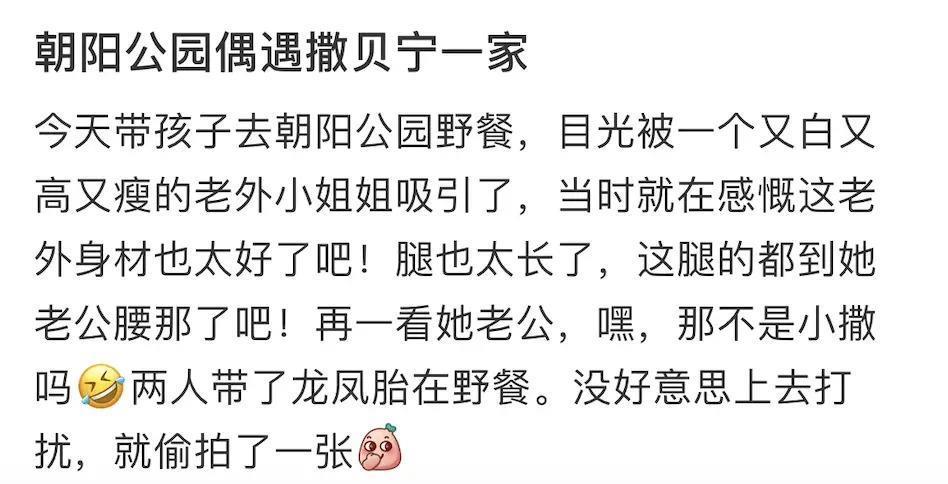 好久不见撒贝宁啦，一家四口好幸福呀