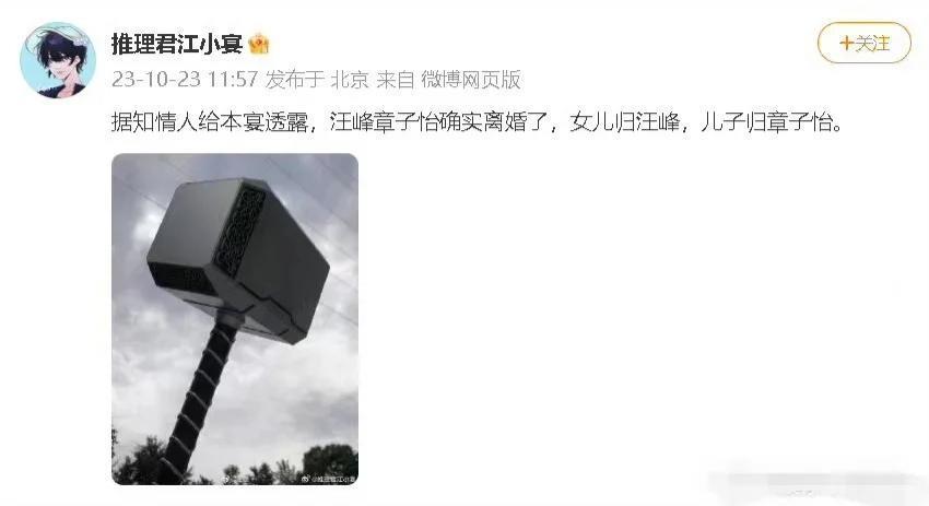 狗仔曝章子怡汪峰离婚 两子女抚养已划分