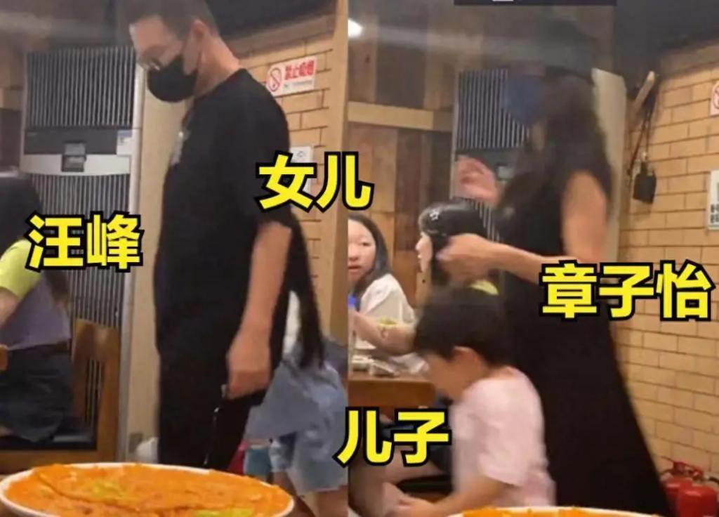 狗仔曝章子怡汪峰离婚 两子女抚养已划分