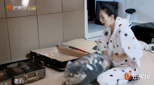 汪峰章子怡被曝离婚，汪峰方拒绝回应离婚传闻