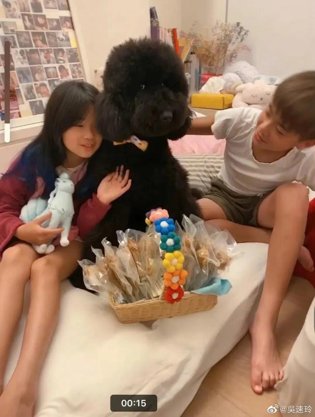 还记得曹格和吴速玲的儿子Joe吗？男高版李钟硕？