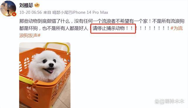 杨迪刘雅瑟等人被禁言！煽动舆情散布谣言，更多黑历史被扒！